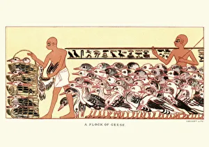 Ancient egyptian farmers herding a flock of geese Ancient egyptian farmers herding a flock of geese