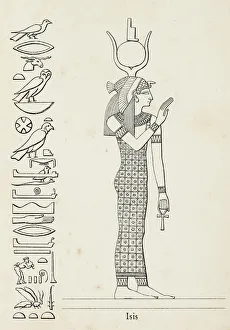 Ancient egyptian hieroglyph of major goddess Isis Ancient egyptian hieroglyph of major goddess Isis