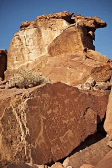 Twyfelfontein Collection: Ancient rock carvings of African animals