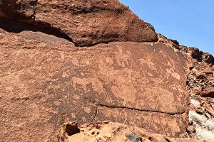 Twyfelfontein Collection: Ancient rock carvings, Twyfelfontein, Kunene Region, Namibia