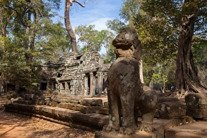 The Ancient Ta Prohm Temple in the Rain Forest The Ancient Ta Prohm Temple in the Rain Forest