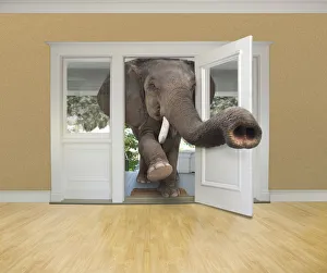 animals, avoidance, avoiding, color image, computer graphic, concept, copy space animals, avoidance, avoiding, color image, computer graphic, concept, copy space