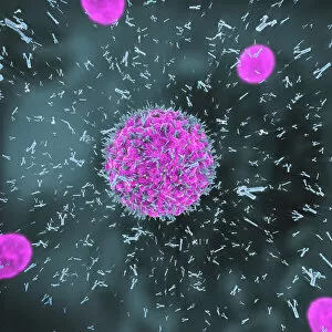 Defense Collection: Antibodies attacking virus particles, illustration