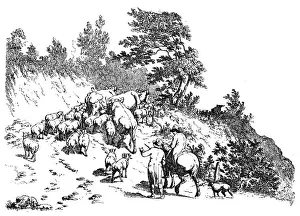 Antique illustration of flock climbing uphill Antique illustration of flock climbing uphill