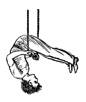 Antique illustration of sports and exercises: Artistic Gymnastic Trapeze Antique illustration of sports and exercises: Artistic Gymnastic Trapeze