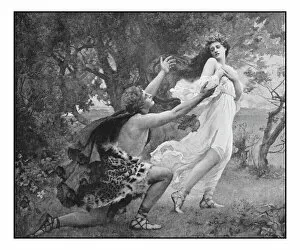 Images Dated 20th February 2017: Antique photo of paintings: Apollo and Daphne