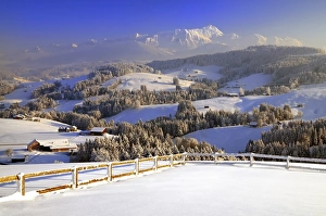 Appenzeller winter landscape in evening light with view on the Santis, Appenzell Appenzeller winter landscape in evening light with view on the Santis, Appenzell
