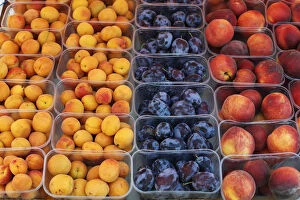Apricot, plums and peaches in plastic cups, Wachau, Lower Austria, Austria, Europe