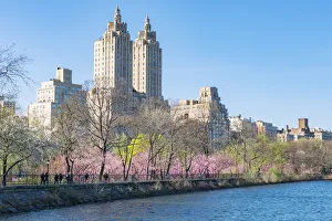 Architectures of Central Park West Historic District behind the rows of Cherry blossoms Architectures of Central Park West Historic District behind the rows of Cherry blossoms