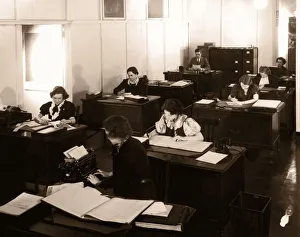 Archive Shot / Group of Office Workers Sitting at their Desks Archive Shot / Group of Office Workers Sitting at their Desks