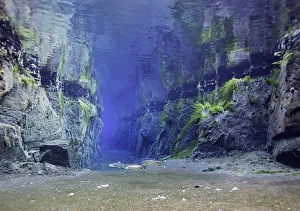<b class=qtipBold><figcaption>Arctic Charr In The Fissure</figcaption></b><br>Arctic charr inhabit the waters of Nesgja, a fissure filled with crystal clear water that has filtered through the surrounding lava fields over many years.<br><em>© 2016 Wildestanimal</em> Arctic Charr In The Fissure
