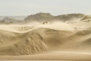 arid, beach, cape recife, color image, colour image, copy space, day, desert, dunes arid, beach, cape recife, color image, colour image, copy space, day, desert, dunes