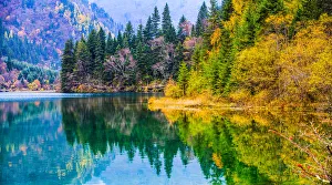 Arrow Bamboo Lake, Jiuzhai Valley National Park