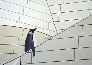 <b class=qtipBold><figcaption>Show me the art</figcaption></b><br>A penguin about to visit an art gallery<br><em>© Barry Knight</em> Show me the art