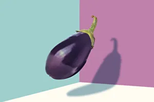 <b class=qtipBold><figcaption>Aubergine</figcaption></b><br>Aubergine at mid-air against a colored background.<br><em>© Francesco Carta</em> Aubergine