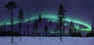<b class=qtipBold><figcaption>The Aurora & the Great Bear</figcaption></b><br>The Aurora Borealis performs above a Swedish forest with the 'Great Bear' prominent in the night sky<br><em>© Copyright 2012 DNMoorhouse</em> The Aurora & the Great Bear