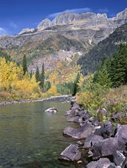 Autumn colored trees along stream with rocky mountains in background, McDonald Creek Autumn colored trees along stream with rocky mountains in background, McDonald Creek