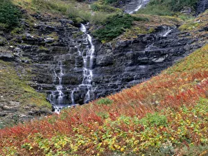 Autumn colored wildflowers and small waterfall, Garden Wall, Glacier National Park, Montana, USA Autumn colored wildflowers and small waterfall, Garden Wall, Glacier National Park, Montana, USA