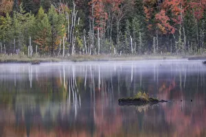 Autumn colors and mist reflecting on Council Lake at sunrise, Hiawatha National Forest Autumn colors and mist reflecting on Council Lake at sunrise, Hiawatha National Forest