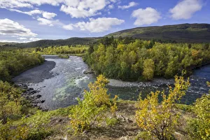 Autumn coloured birch trees on the Abiskojakka river, Abisko National Park, Norrbotten County, Sweden Autumn coloured birch trees on the Abiskojakka river, Abisko National Park, Norrbotten County, Sweden