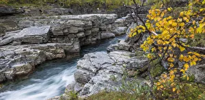 Autumn colours at the Abiskojakka river, Abisko National Park, Norrbotten County, Sweden Autumn colours at the Abiskojakka river, Abisko National Park, Norrbotten County, Sweden