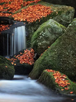 <b class=qtipBold><figcaption>Autumn Fall</figcaption></b><br>Padley Gorge, Peak District, Derbyshire<br><em>© © 2013 Duncan Fawkes</em> Autumn Fall