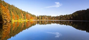 Autumn at Feldsee Lake with reflections near Mt Feldberg, Black Forest, Germany, Europe Autumn at Feldsee Lake with reflections near Mt Feldberg, Black Forest, Germany, Europe