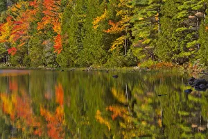 Autumn forest reflecting in Bubble Pond, Acadia National Park, Maine, New England, USA Autumn forest reflecting in Bubble Pond, Acadia National Park, Maine, New England, USA