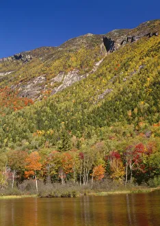 Autumn hardwood forest and pond beneath Mt. Webster, White Mountains Autumn hardwood forest and pond beneath Mt. Webster, White Mountains