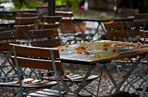 Autumn in the Paulaner beer garden at Nockherberg in Munich, Bavaria, Germany, Europe Autumn in the Paulaner beer garden at Nockherberg in Munich, Bavaria, Germany, Europe
