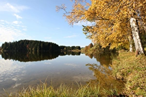Autumn on Schmuttersee Lake near Lechbruck, Ostallgaeu, Allgaeu, Bavaria, Germany, Europe Autumn on Schmuttersee Lake near Lechbruck, Ostallgaeu, Allgaeu, Bavaria, Germany, Europe