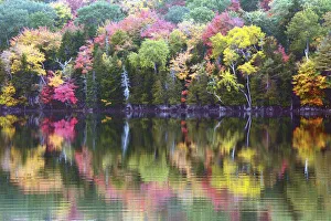 Autumn trees reflecting in Great Long Pond, Somesville, Mount Desert Island, Maine Autumn trees reflecting in Great Long Pond, Somesville, Mount Desert Island, Maine