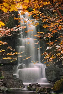 Images Dated 6th January 2019: Autumn Waterfall