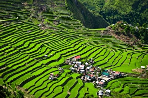 Batad Rice Terraces