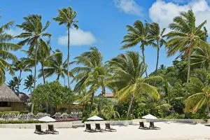 Beach with palm trees, Bora Bora, French Polynesia Beach with palm trees, Bora Bora, French Polynesia