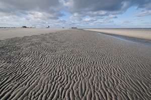 Beach of Sankt Peter-Ording in the morning sun during low tide with stilt houses on the Beach of Sankt Peter-Ording in the morning sun during low tide with stilt houses on the