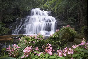 Beautiful waterfall with pink snapdragon flower in foreground , Mun dang waterfall at Phu Hin Rong Kla National Park Beautiful waterfall with pink snapdragon flower in foreground , Mun dang waterfall at Phu Hin Rong Kla National Park