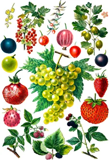 Fruit Healthy Food Strawberries Blackberries