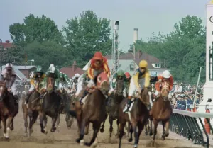 Prints of Jockey Angel Cordero on Cannonade crossing the finish line to win the 100th Kentucky Derby in Louisville, Kentucky, on May 4th, 1974 Mammal Prints: Angel Cordero on Cannonade Kentucky Derby 100th Win Print