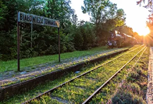 Bialowieza Forest - Historical Train Station Bialowieza Forest - Historical Train Station