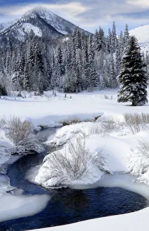 Big Cottonwood Creek winds through the snow covered Wasatch Mountains at the mouth of Cardiff Fork, Utah, USA Big Cottonwood Creek winds through the snow covered Wasatch Mountains at the mouth of Cardiff Fork, Utah, USA