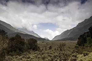 Rwenzori Mountains National Park Gallery: Bigo Bog, Rwenzori Mountains, Uganda
