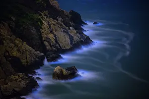 Bioluminescent algae Noctiluca Scintillans Bioluminescent algae Noctiluca Scintillans