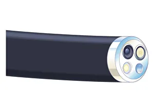 Biomedical illustration of tip of flexible endoscope Biomedical illustration of tip of flexible endoscope