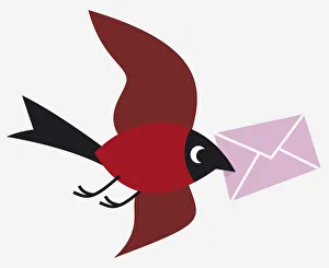 <b class=qtipBold><figcaption>Bird carrying an envelope</figcaption></b><br>Bird carrying an envelope.<br><em>© This content is subject to copyright.</em> Bird carrying an envelope