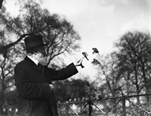 Bird Man With Birds Bird Man With Birds