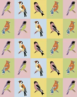 Patter Gallery: Bird Pattern