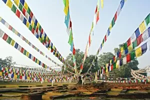 Unique Gallery: Birthplace of the Buddha