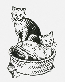 Black and white digital illustration of two cats oblivious to mouse neat pet bed Black and white digital illustration of two cats oblivious to mouse neat pet bed