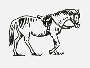 Black and white digital illustration of horse wearing bridle and saddle Black and white digital illustration of horse wearing bridle and saddle